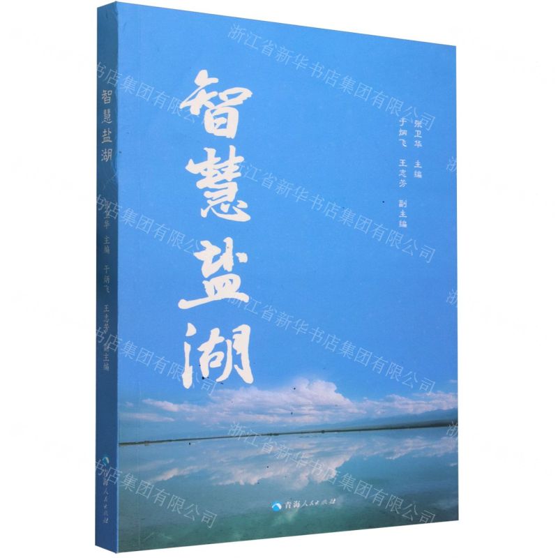 [N]智慧盐湖-9787225065397高清大图