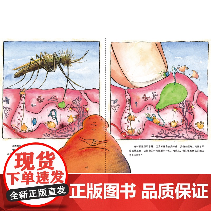 皮肤国的大麻烦 德国精选科学图画书 附带音频 新版 儿童绘本 北京科学技术高清大图