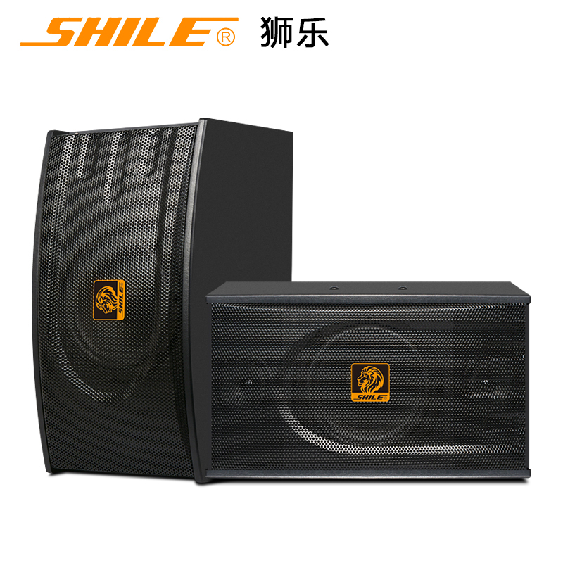狮乐 BX118专业家庭ktv音响 家用卡拉OK音箱/会议室/教学/活动舞磨砂黑