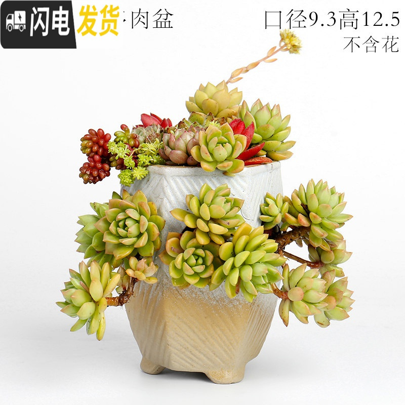 三维工匠复古创意个性多肉悬崖老桩高花盆缺口造型控型盆陶瓷绿植老庄花器 三孔浅蓝多肉盆 中等