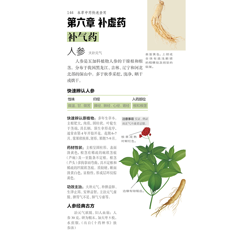[醉染正版]正版 本草中药快速查用食疗本草中医养生书籍零基础学养生书大全中医中药速查中药配方中药大辞典中药材大全中药 江高清大图