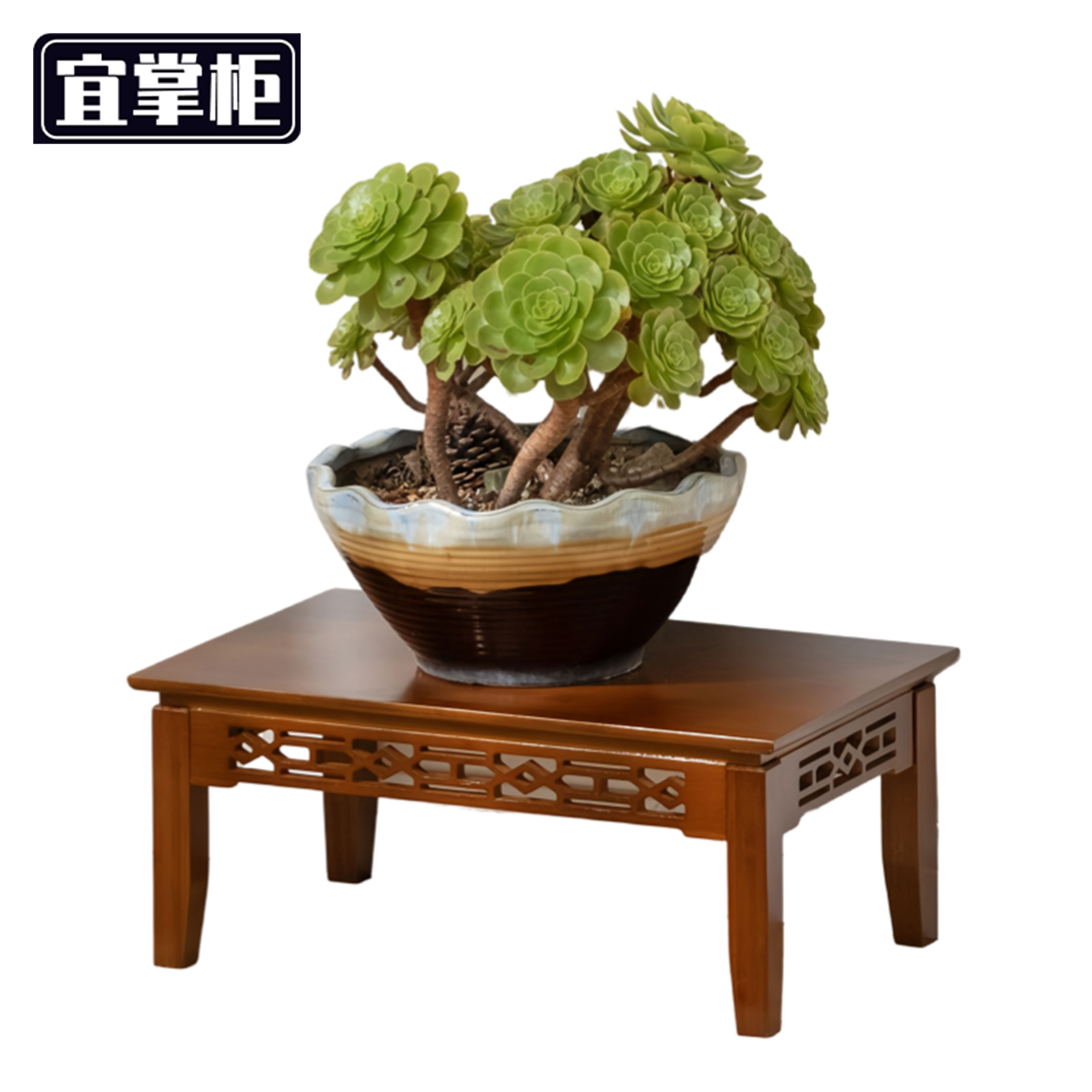 宜掌柜 花 架高清大图