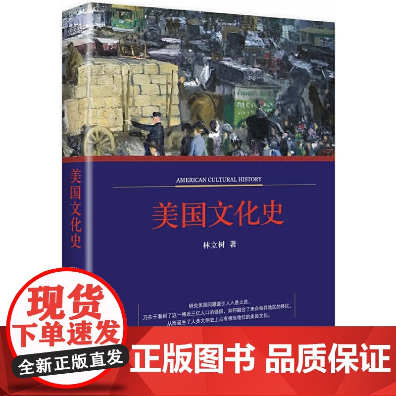 美国文化史(美国迄今仅有230年的历史,却成功缔造了一个独特的文化。一本研究美国问题的入门必修读本.)