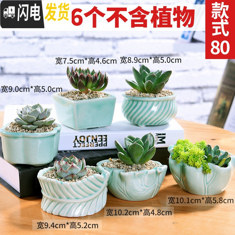 三维工匠园艺用品三维工匠多肉花盆植物简约陶瓷盆器套装种多肉个性盆器套080 随机6个 中小花盆容器 价格图片品牌报价 苏宁易购银团家居生活专营店