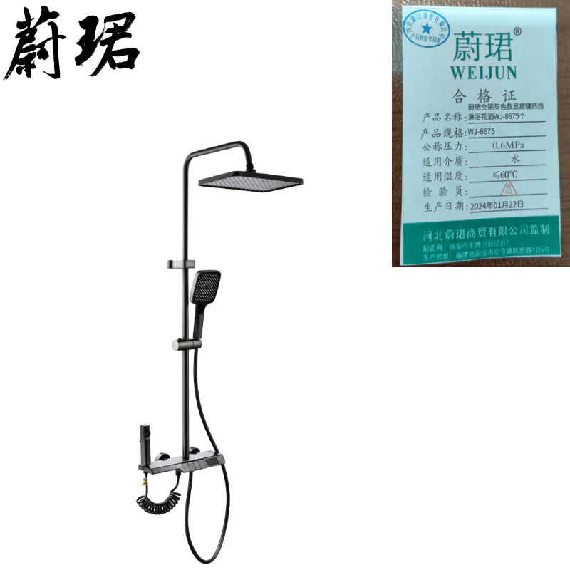 蔚珺全铜灰色数显按键四档淋浴花洒WJ-8675个