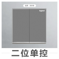 TCL罗格朗(Legrand)开关插座面板逸景深砂银5五孔二三插三孔16A空调USB墙壁电源86型暗装电源插座
