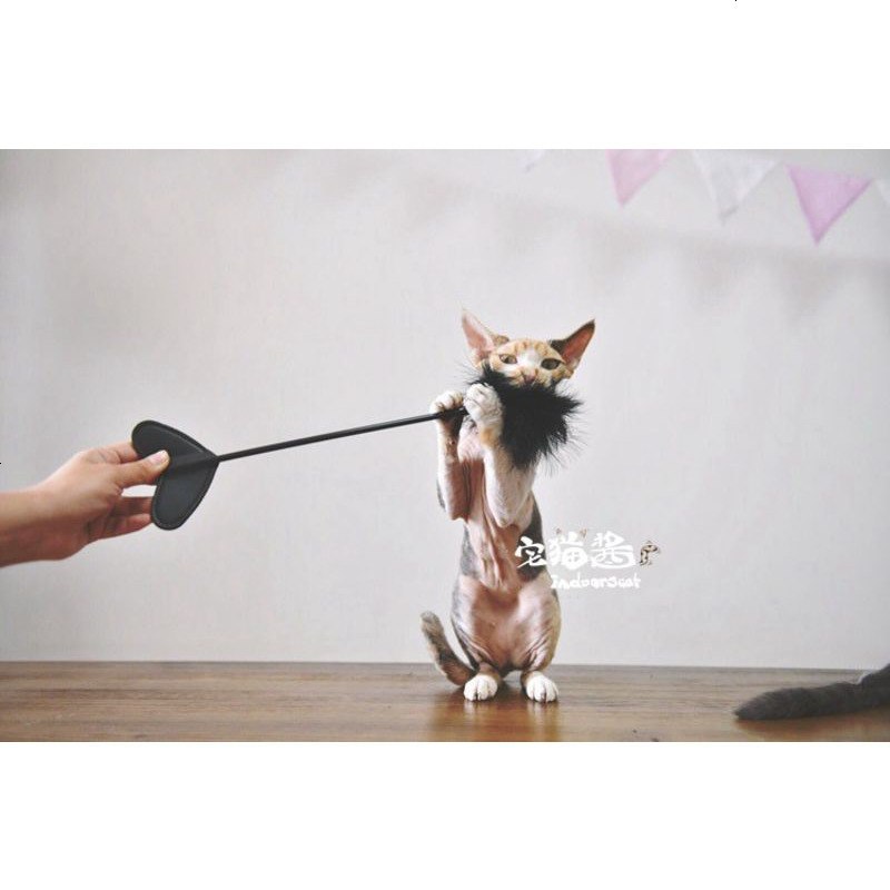 宅猫酱sm风逗猫棒请叫我女王大人猫咪大爱逗猫玩具