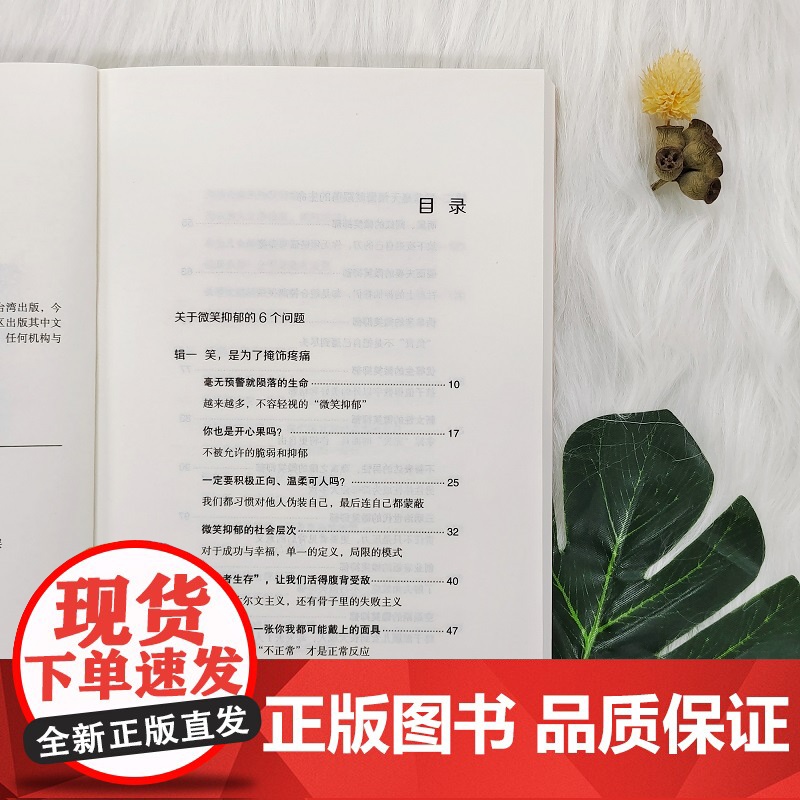 我笑了,我装的(亚马逊4.5高分作品)看上去很快乐的人也会抑郁吗?微笑抑郁 洪培芸 民主与建设出版社 正版书籍高清大图