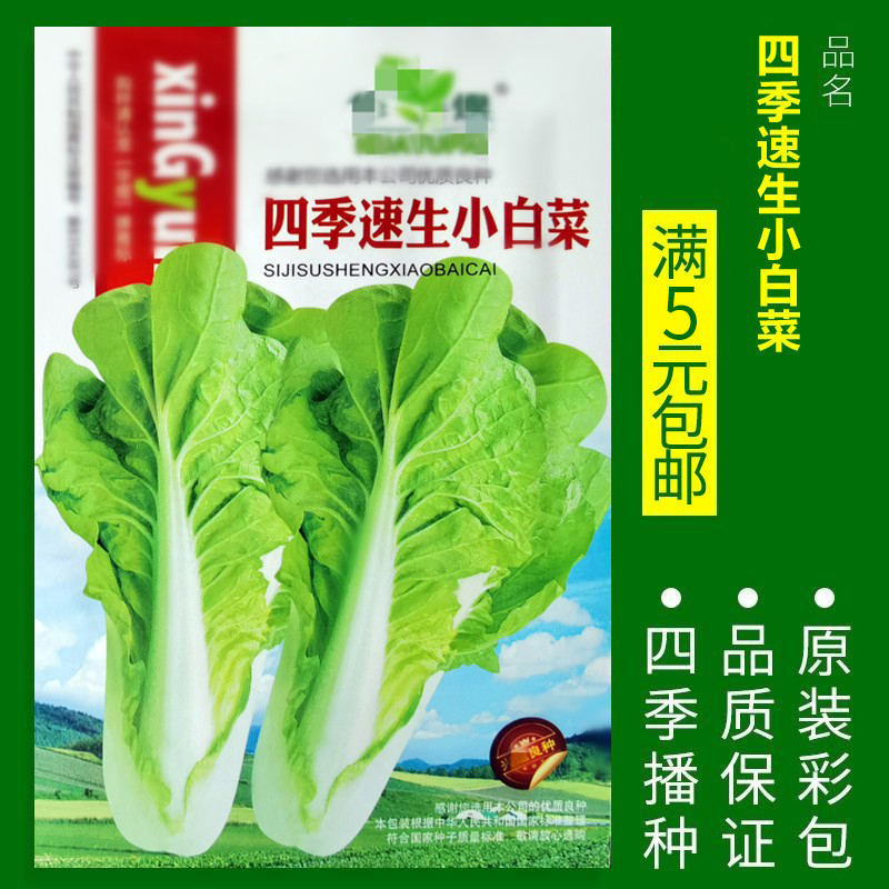 【补贴10%】蔬菜种子四季播盆栽阳台庭院香菜生菜菠菜小葱简单秋易种籽孑大全 四季速生小白菜约500粒 均码