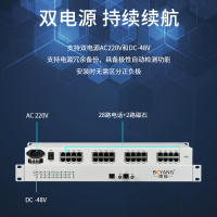 博扬(BOYANG) PCM电话语音复用设备 28路电话加2路磁石 机架式 1对价 BY-20P-20H