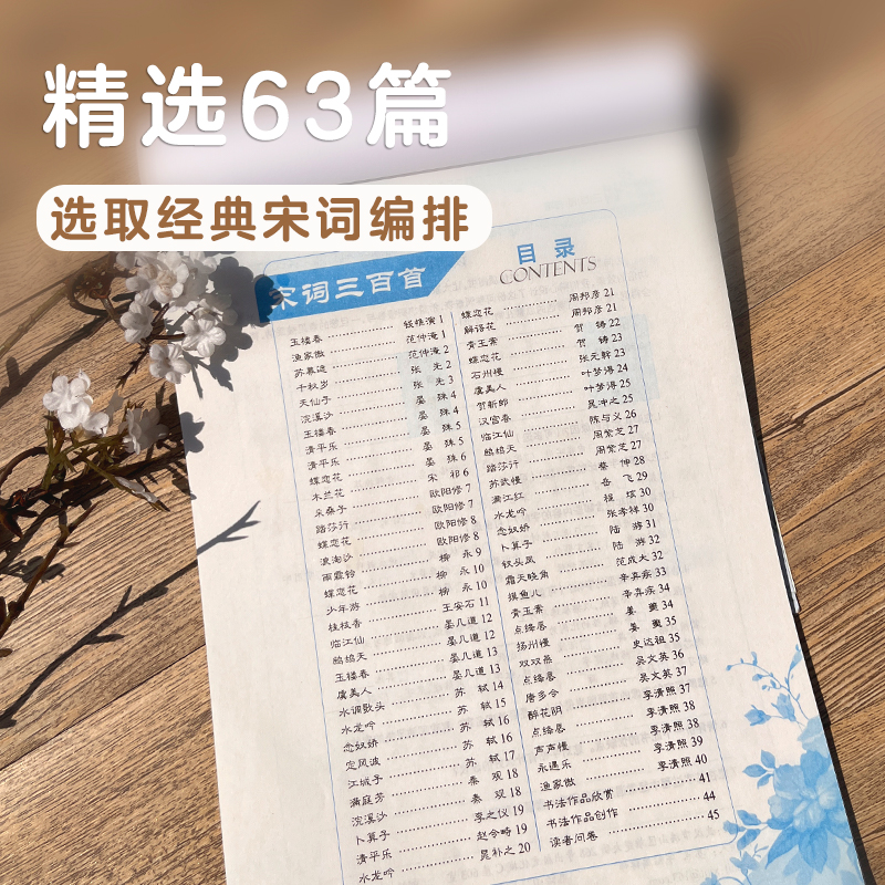 宋词三百首-楷书 [正版]字帖练字大学生行楷女男生霸气行书字帖女生字体漂亮高中生初中生练字帖本成年宋词三百首荆霄鹏行楷字高清大图