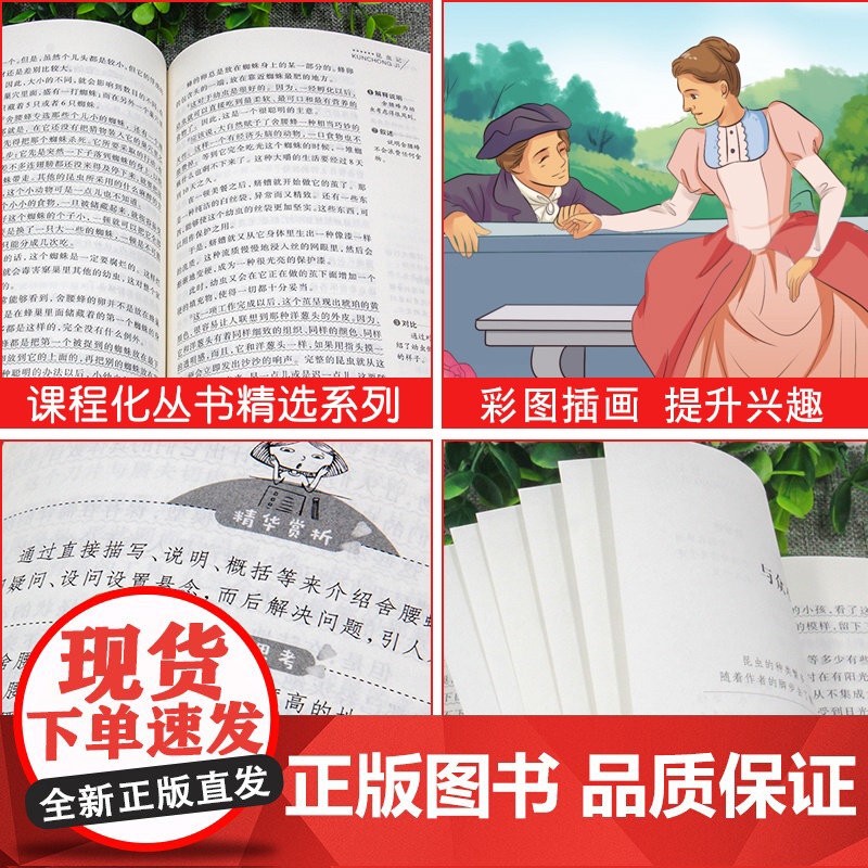 居里夫人传无障碍精读初中八年级上册人教版小学生三四五六年级课外阅读书籍原著正版居里夫人自传传记中外名人故事青少年读物高清大图