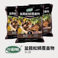 花彩师松鳞盆栽松鳞有机覆盖物8L/包 园林绿化铺面透气