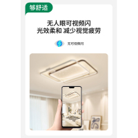 雷士照明[星雨]新款舒适光大瓦数北欧星空灯客厅主灯现代简约吸顶灯中山灯具