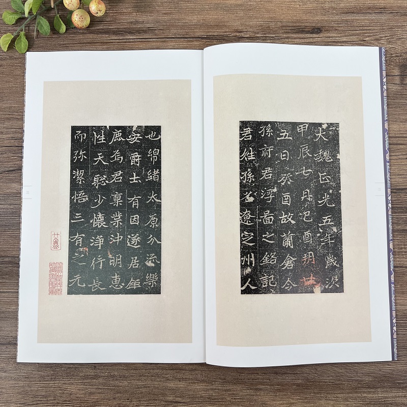 [正版]中国碑帖集珍 孙辽浮图铭 原色原大临摹范本中国唐代古典碑帖毛笔书法爱好入门初学者临摹鉴赏收藏教程字帖作品 旗舰高清大图