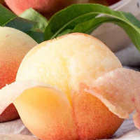 鲜贝达 山东蒙阴蜜桃水蜜桃净重3斤装[7-9个]桃子