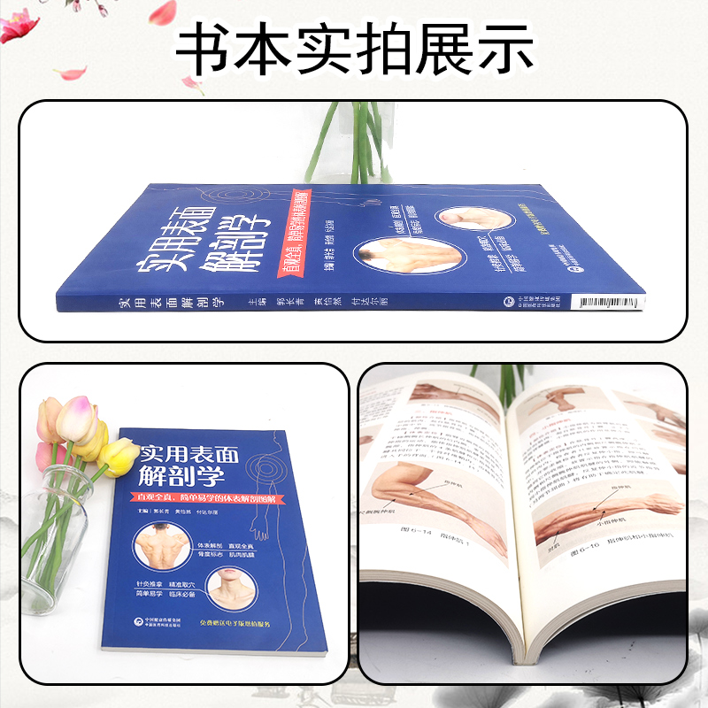 [正版] 实用表面解剖学 直观全真简单易学的体表解剖图谱 主编郭长青 黄怡然 付达尔丽 附增值服务 978752141高清大图