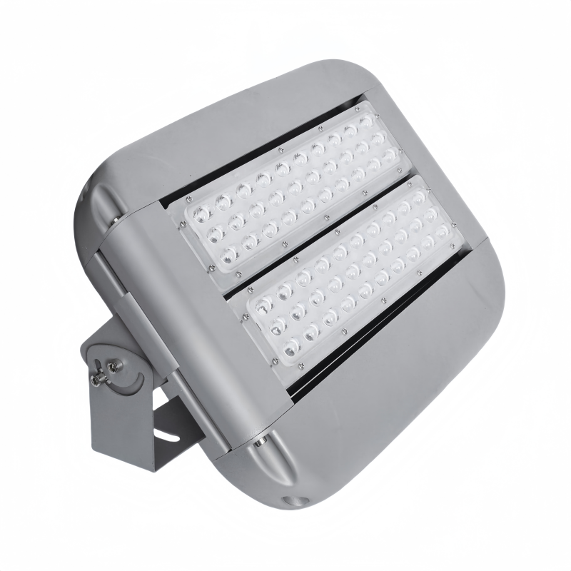 XD JX.XINGDIANX LED模组泛光灯D-935 100W