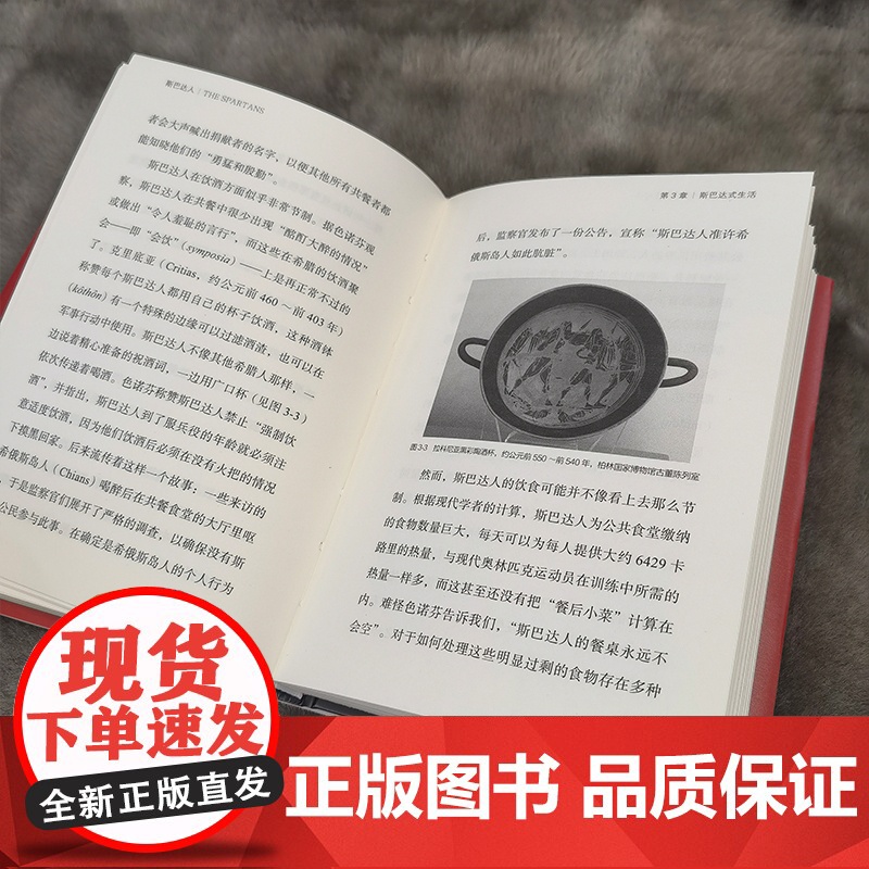 斯巴达人 古希腊城邦简史 安德鲁·J.贝利斯Andrew J. Bayliss 希腊史学 希腊城邦运作制度 斯巴达社会运高清大图