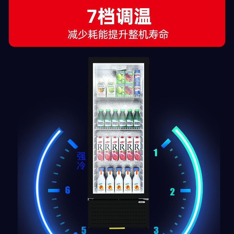 星星(XINGX)LSC-230YPE 230升 立式冰柜 保鲜柜 饮料柜 商用冷藏展示柜 饮料超市商店便利店