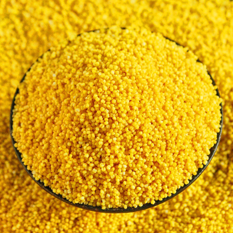 5斤山西黄小米新米正品石磨小米煮粥优质特级黄小米食用粮食2500g高清大图