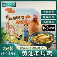 [苏鲜生推荐]雀淘 正宗皖南黄油老母鸡2-2.3斤/只 2只装 新鲜现杀 整鸡净膛冷冻竹林慢养鸡走地鸡