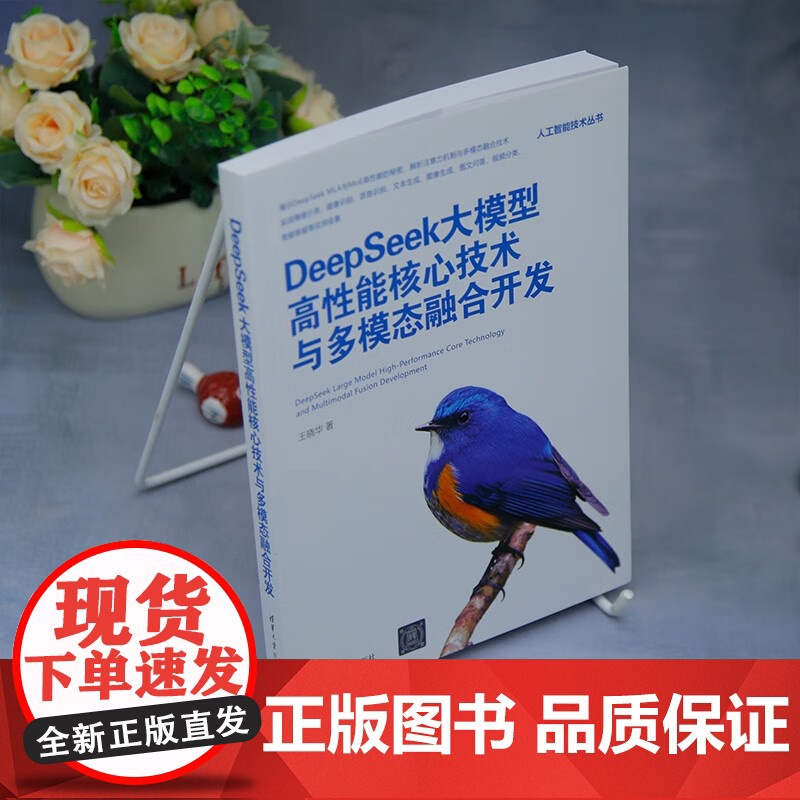 DeepSeek大模型高性能核心技术与多模态融合开发 王晓华 著 计算机与互联网高清大图