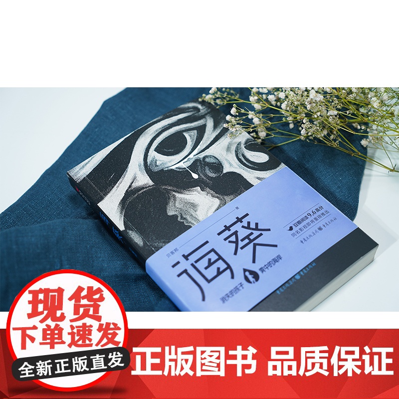 海葵《消失的孩子》原著小说白鸟坠入密林作者芒果TV豆瓣阅读征文大赛头奖、小雅奖励获奖作者贝客邦社会派悬疑开山力作小高清大图