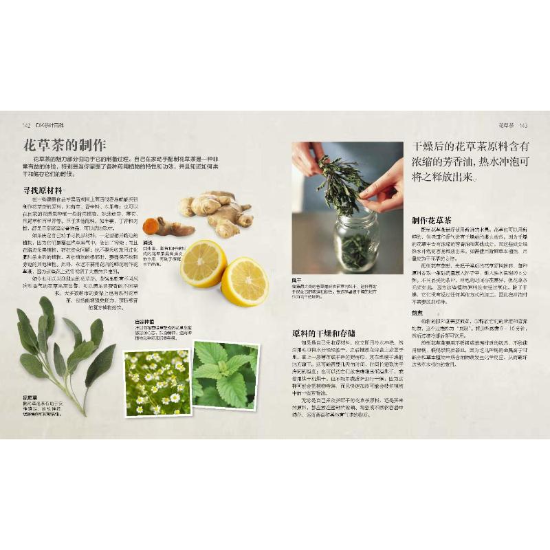DK茶叶百科 [正版]DK茶叶百科 (加)琳达·盖拉德 著 沈周高,张群,李大祥 译 茶类书籍生活 书店图书籍 科学普及高清大图