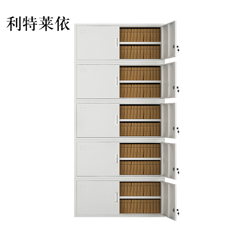利特莱依钢制文件柜办公资料柜铁皮档案柜带锁储物柜财务凭证柜