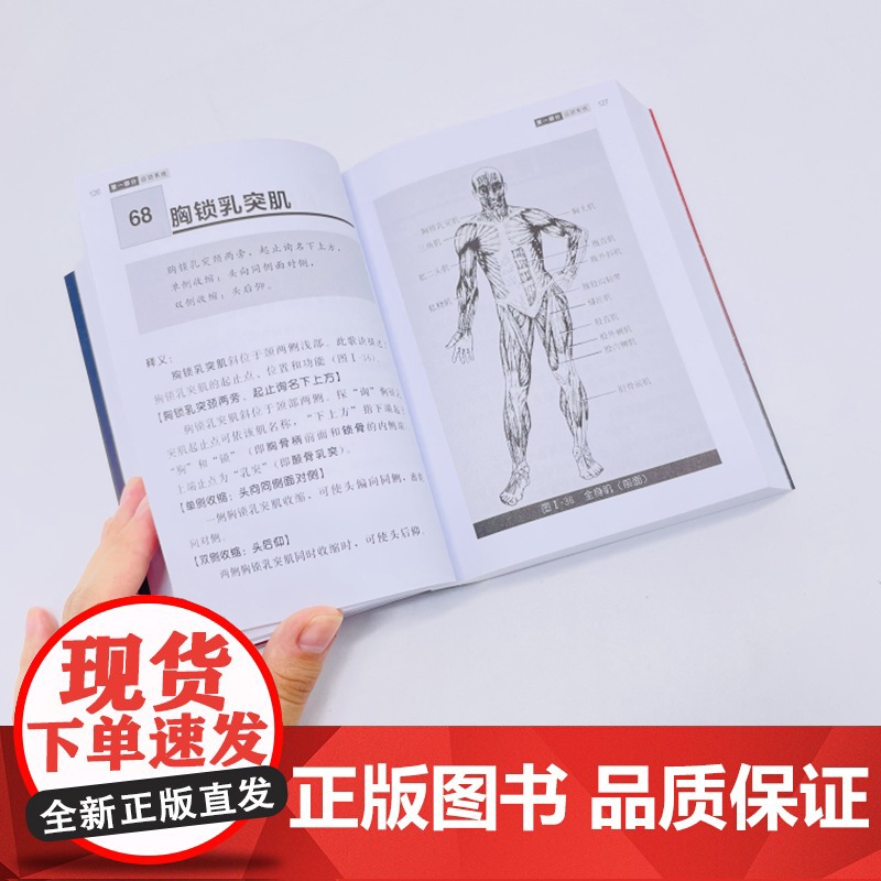 人体解剖学实用歌诀(第五版)高清大图