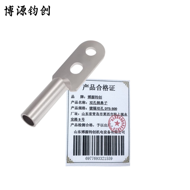 博源钧创 双孔铜鼻子 镀锡双孔DTS-300 个高清大图