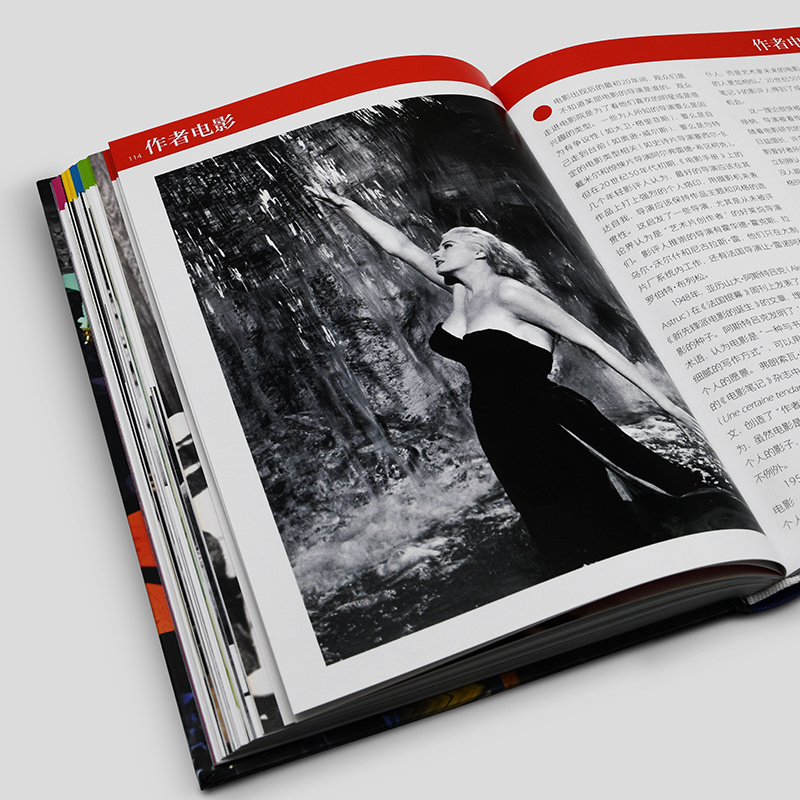 [正版]读懂电影 解百年世界电影史 全面介绍了包括史诗电影、动画电影、传记电影等51个不同时期的关键电影流派高清大图