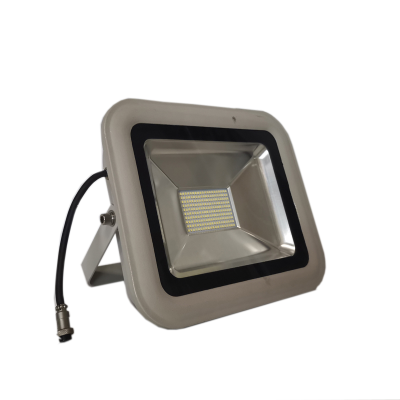 LHDQ 领航电器LHF2360-20W LED投光灯 IP65 市电 220V 冷白高清大图