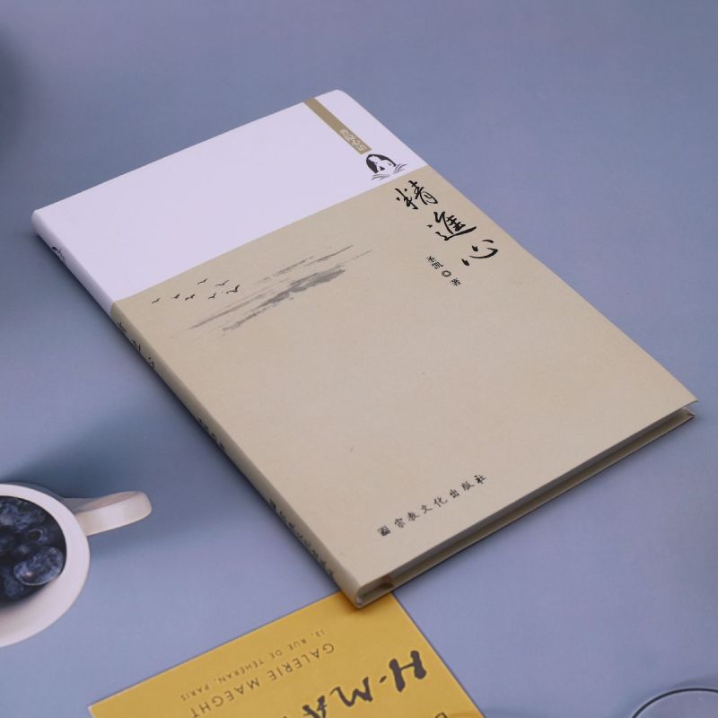 [正版]书店 书籍精进心(普隐心语) 哲学宗教 社科知识读物高清大图