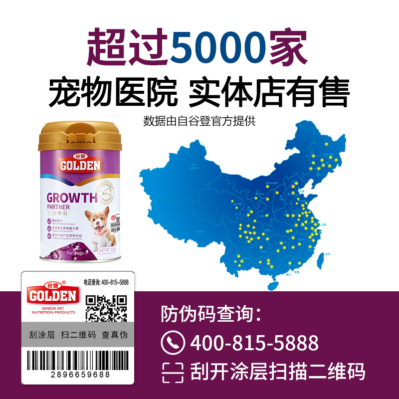 谷登发育伴侣