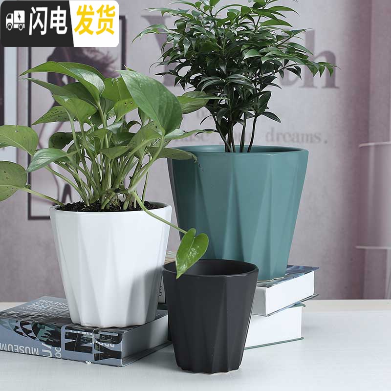 三维工匠陶瓷花盆北欧简约现代时尚创意个性亚光黑白绿萝专用大号 粗面976+送塑料托盘 中等花盆容器高清大图