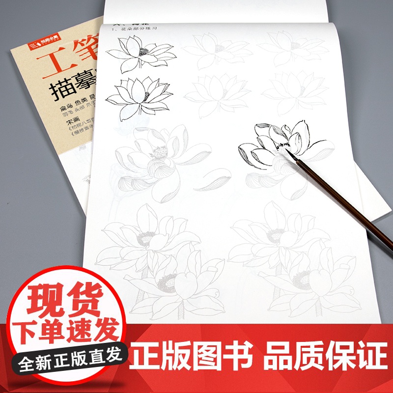 [送笔墨碟]工笔画白描描摹本上下2册/基础训练篇+强化提高篇sh高清大图