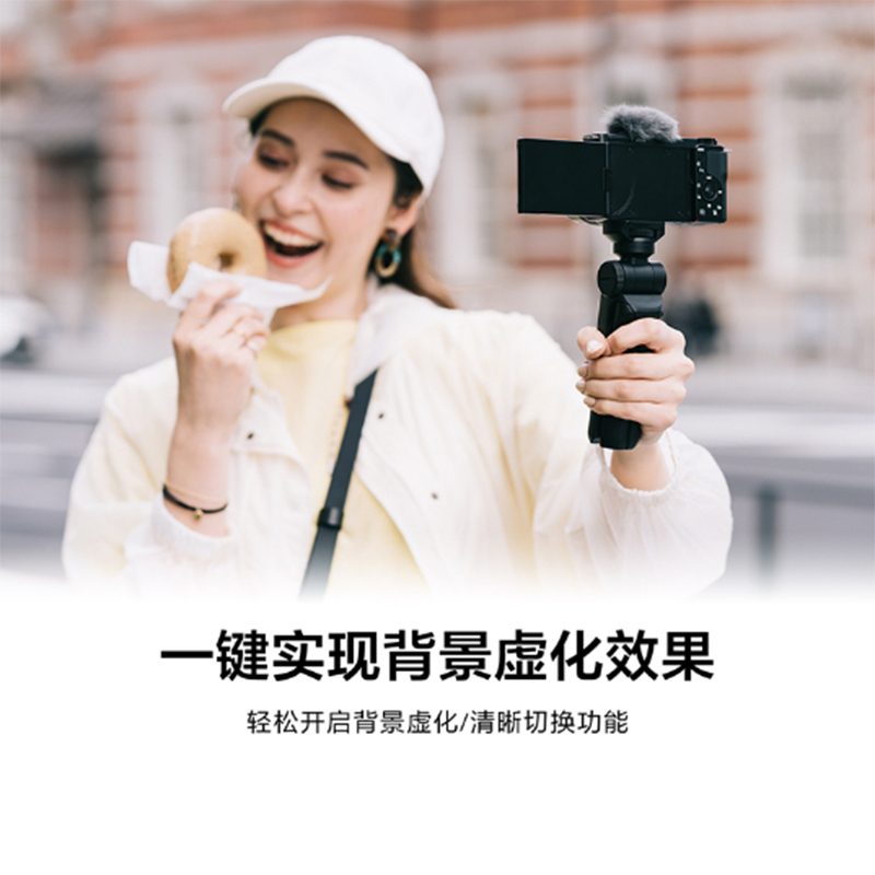 索尼(SONY) Vlog微单™相机ZV-E10L 标准镜头E PZ 16-50mm F3.5-5.6 OSS套装 黑色