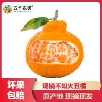 五个农民 [苏宁自有品牌]四川不知火丑橘5斤 单果65-75mm 新鲜水果橘子(12-14个)