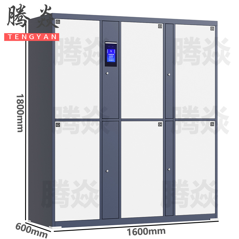 腾焱拖箱存放柜6门台