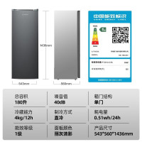 新飞180升立式冰柜单温冷冻柜家用租房母婴冷柜抽屉分区一级能效省电节能立式冷柜冷冻柜BD-180LKAT 180L