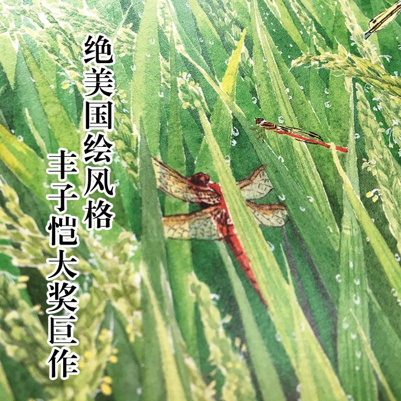 醉染图书盘中餐9787514828825高清大图