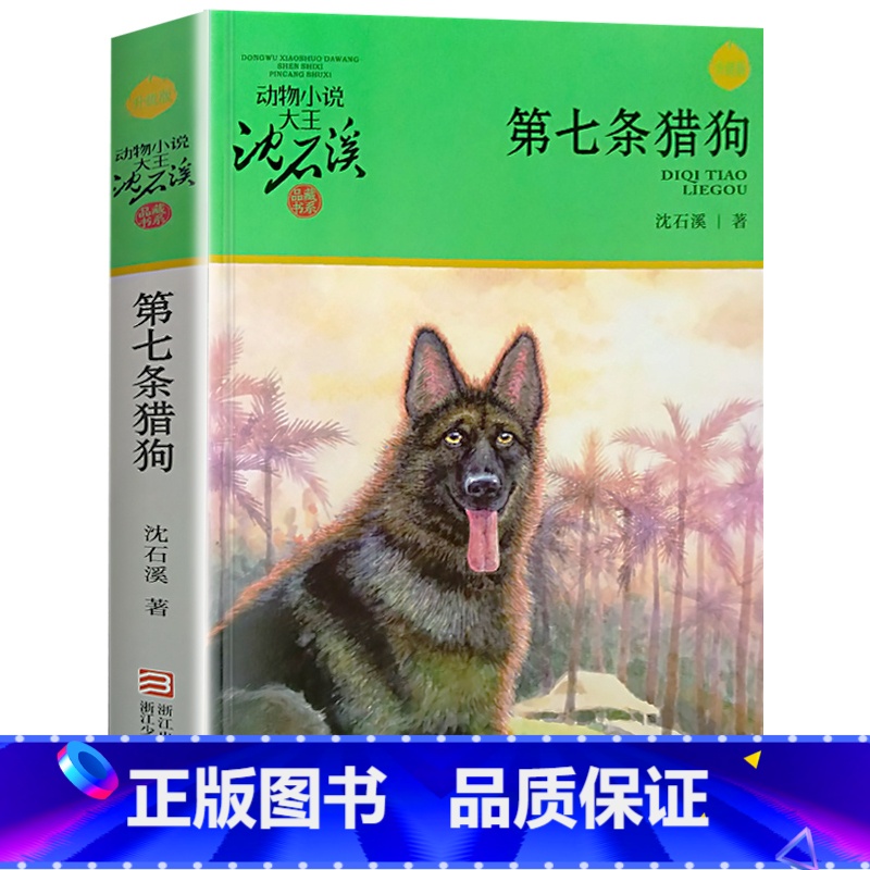 第七条猎狗 [正版]完整版第七条猎狗全本沈石溪的图书籍动物小说大王品藏系列小学生四五六年级儿童文学作品珍藏大全全集全套单高清大图