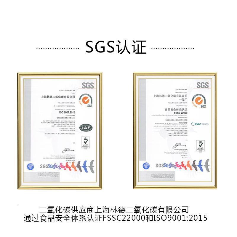 德国气泡水机苏打水机自制苏打水家用商用奶茶店便携式
