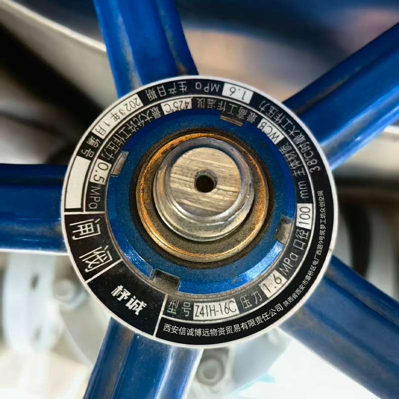 杼诚铸钢闸阀DN100/个高清大图