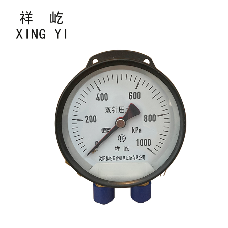 祥屹 双针双管压力表 YCS100-II 24V 台高清大图