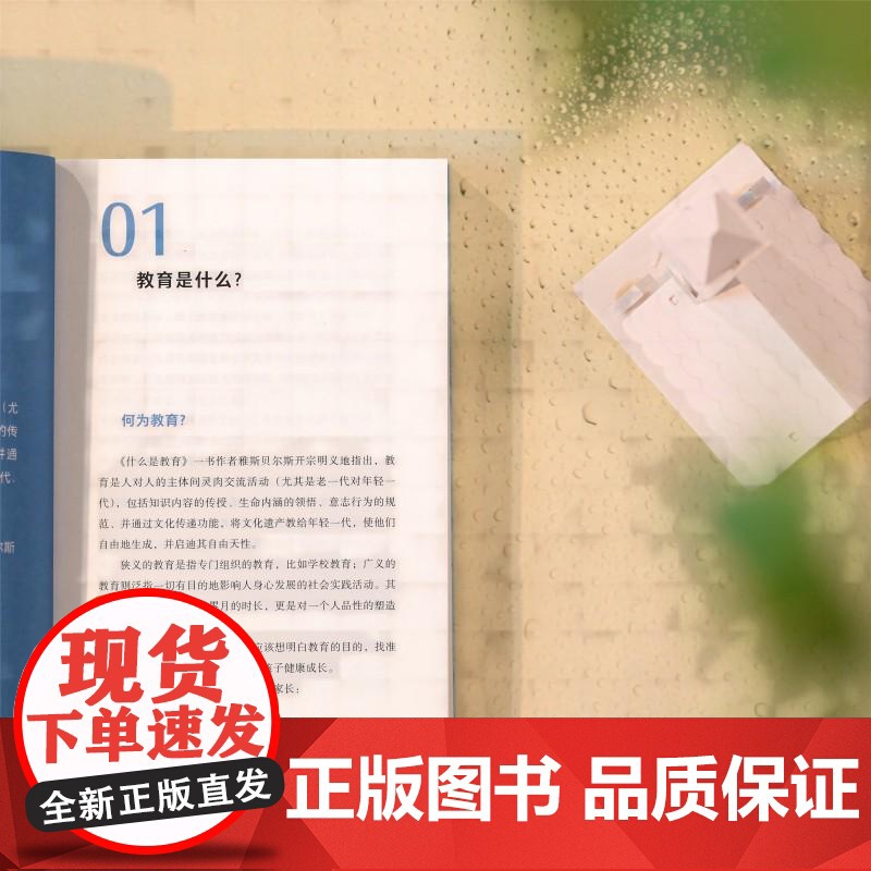 不内耗的教育 何江 28 堂教育课 个人经历 教育理论 实操技巧 家庭教育类书籍 湖南文艺出版社高清大图