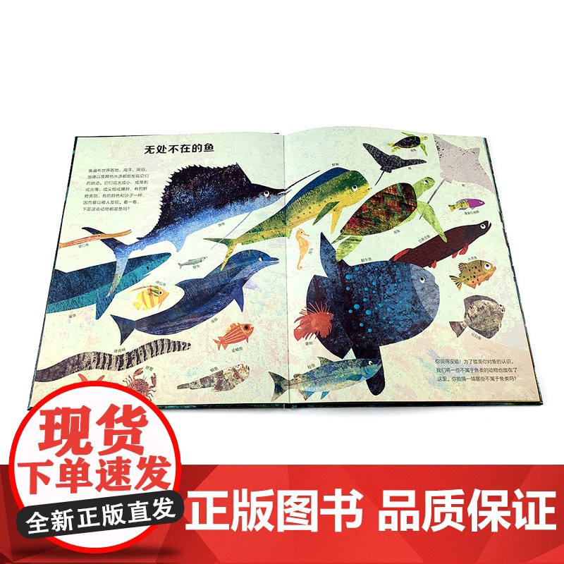 无处不在的鱼 艺术气息浓厚的纸上水族馆, 大奖获奖插画家创作的趣味鱼类小百科6-9岁高清大图