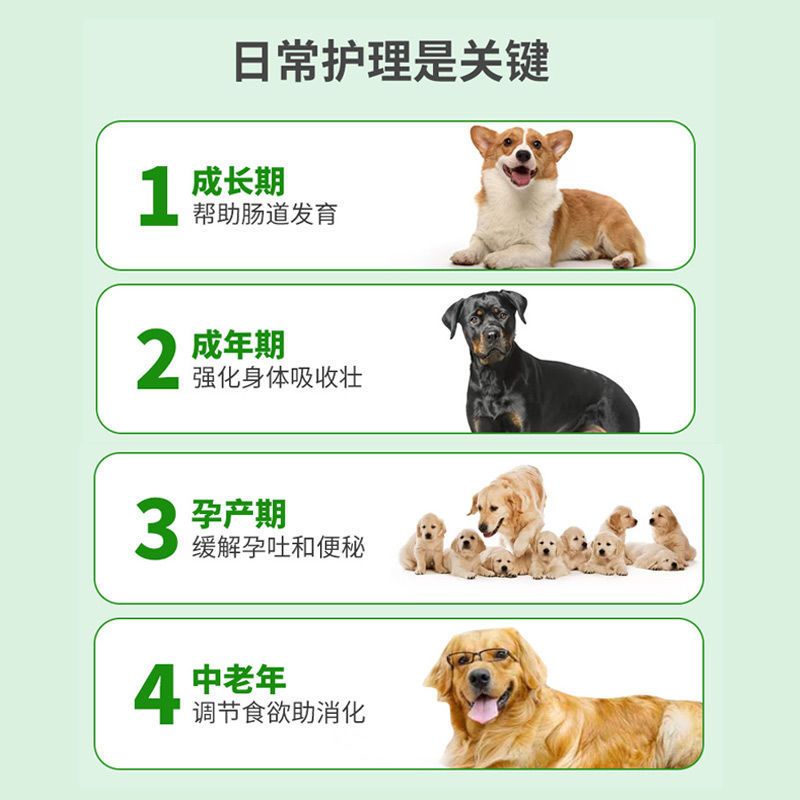伊莱仕狗狗益生菌片调理肠胃宠物幼犬金毛泰迪通用呕吐腹泻肠胃宝 狗益生菌片
